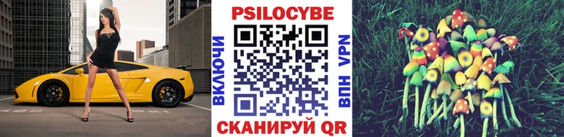 продажа наркотиков  Берёзовка  ОМГ ОМГ зеркало  Галлюциногенные грибы Magic Shrooms 