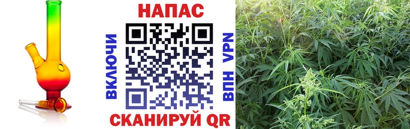 купить наркотики сайты  Берёзовка  mega рабочий сайт  Каннабис план 